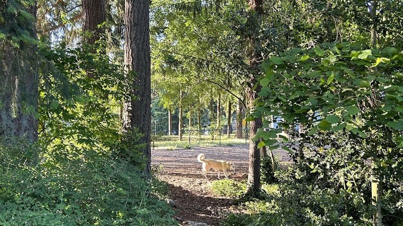 Rainier Woods Off-Leash Dog Park - Puyallup, WA