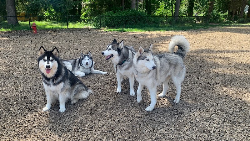 Rainier Woods Off-Leash Dog Park - Puyallup, WA