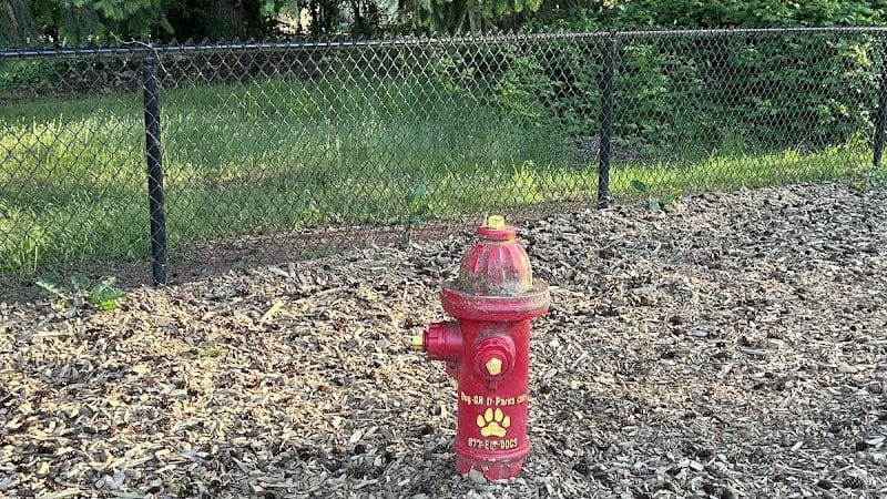 Rainier Woods Off-Leash Dog Park - Puyallup, WA