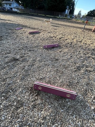 Rainier Woods Off-Leash Dog Park - Puyallup, WA