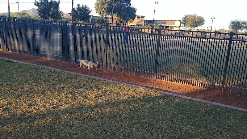 Pocket Park for Pups - Queen Creek, AZ