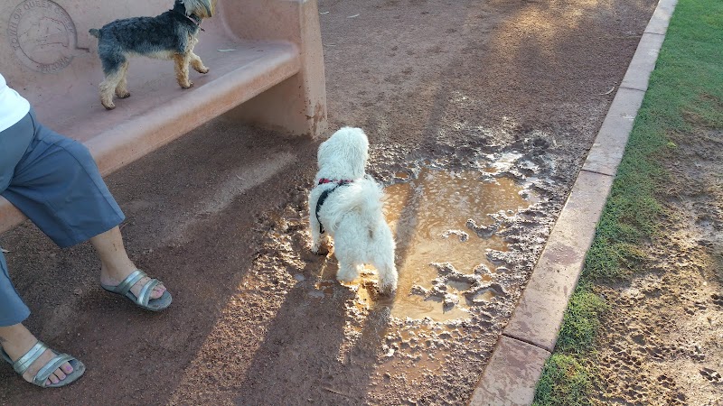 Pocket Park for Pups - Queen Creek, AZ
