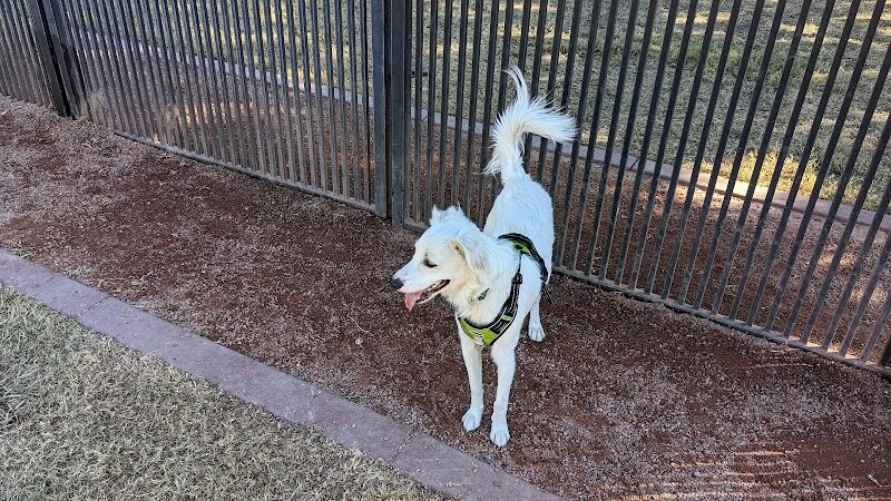 Pocket Park for Pups - Queen Creek, AZ