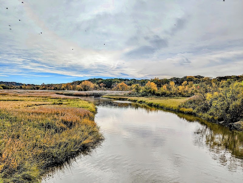 Alley Pond Park Trail - Queens, NY