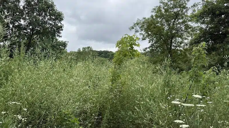 Alley Pond Park Trail - Queens, NY