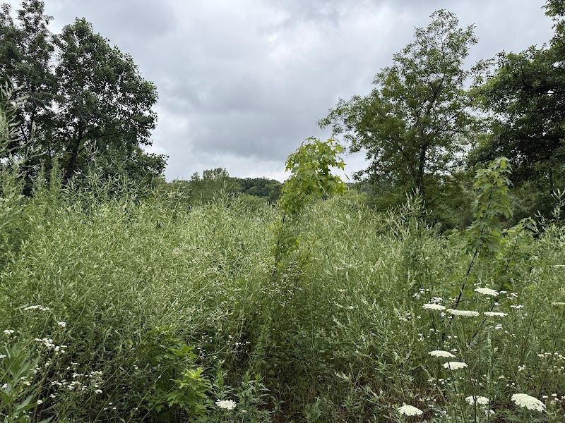 Alley Pond Park Trail - Queens, NY
