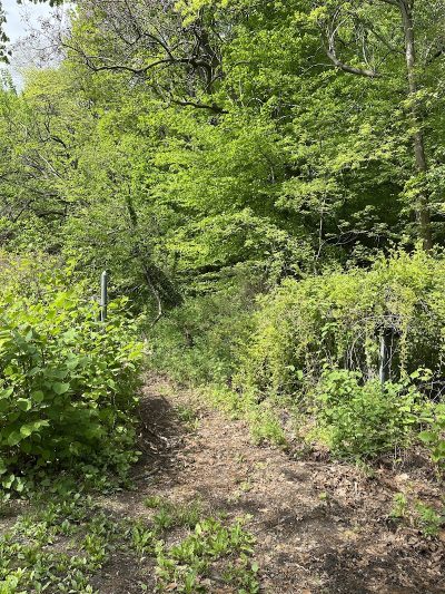 Alley Pond Park Trail - Queens, NY