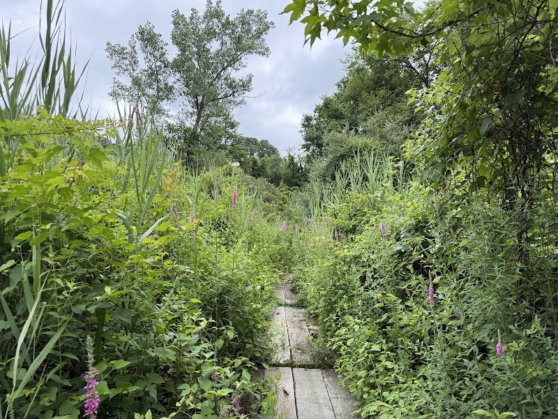 Alley Pond Park Trail - Queens, NY