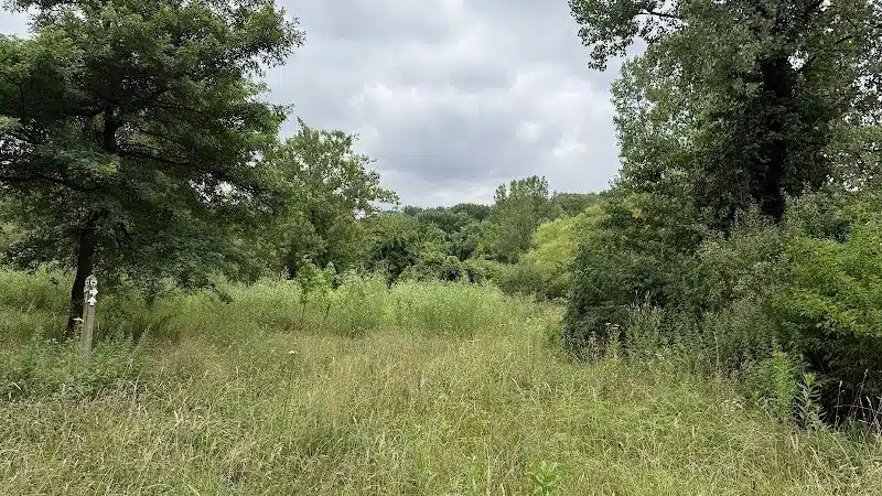 Alley Pond Park Trail - Queens, NY