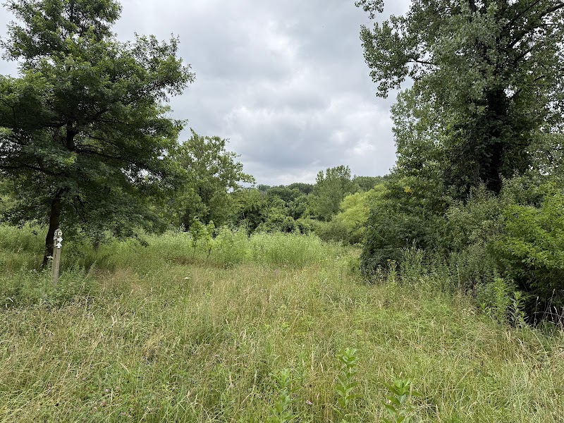 Alley Pond Park Trail - Queens, NY