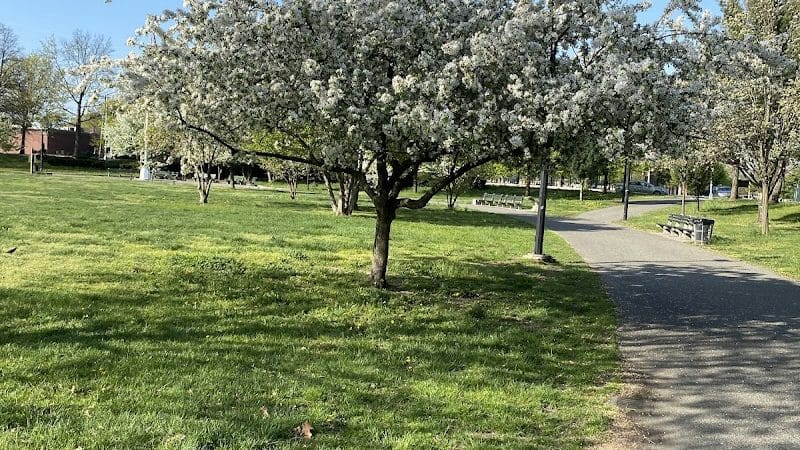 Archie Spigner Park - Queens, NY