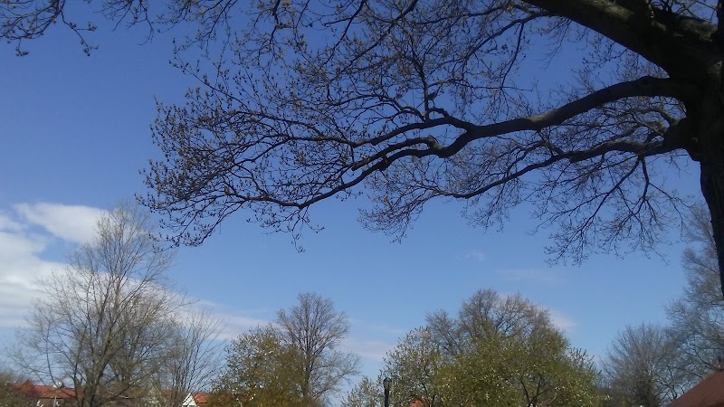 Archie Spigner Park - Queens, NY