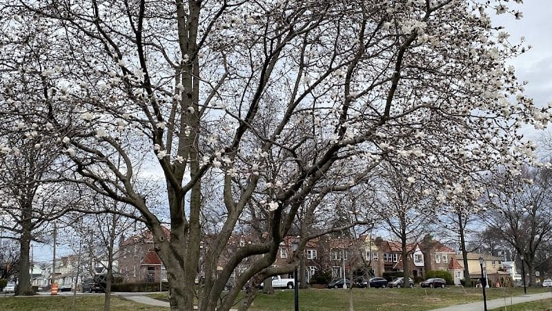 Archie Spigner Park - Queens, NY