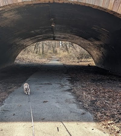 Forest Park forest trails - Queens, NY