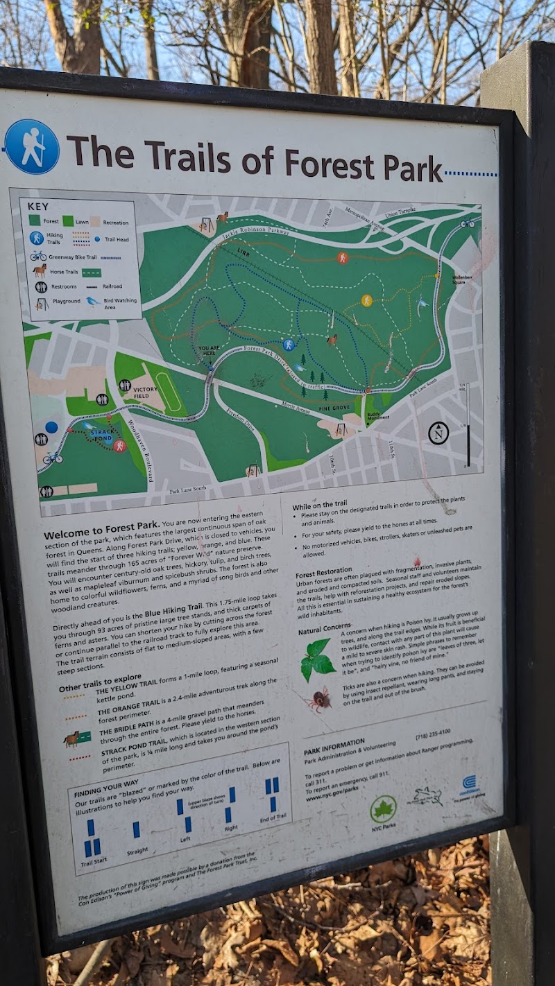 Forest Park forest trails - Queens, NY