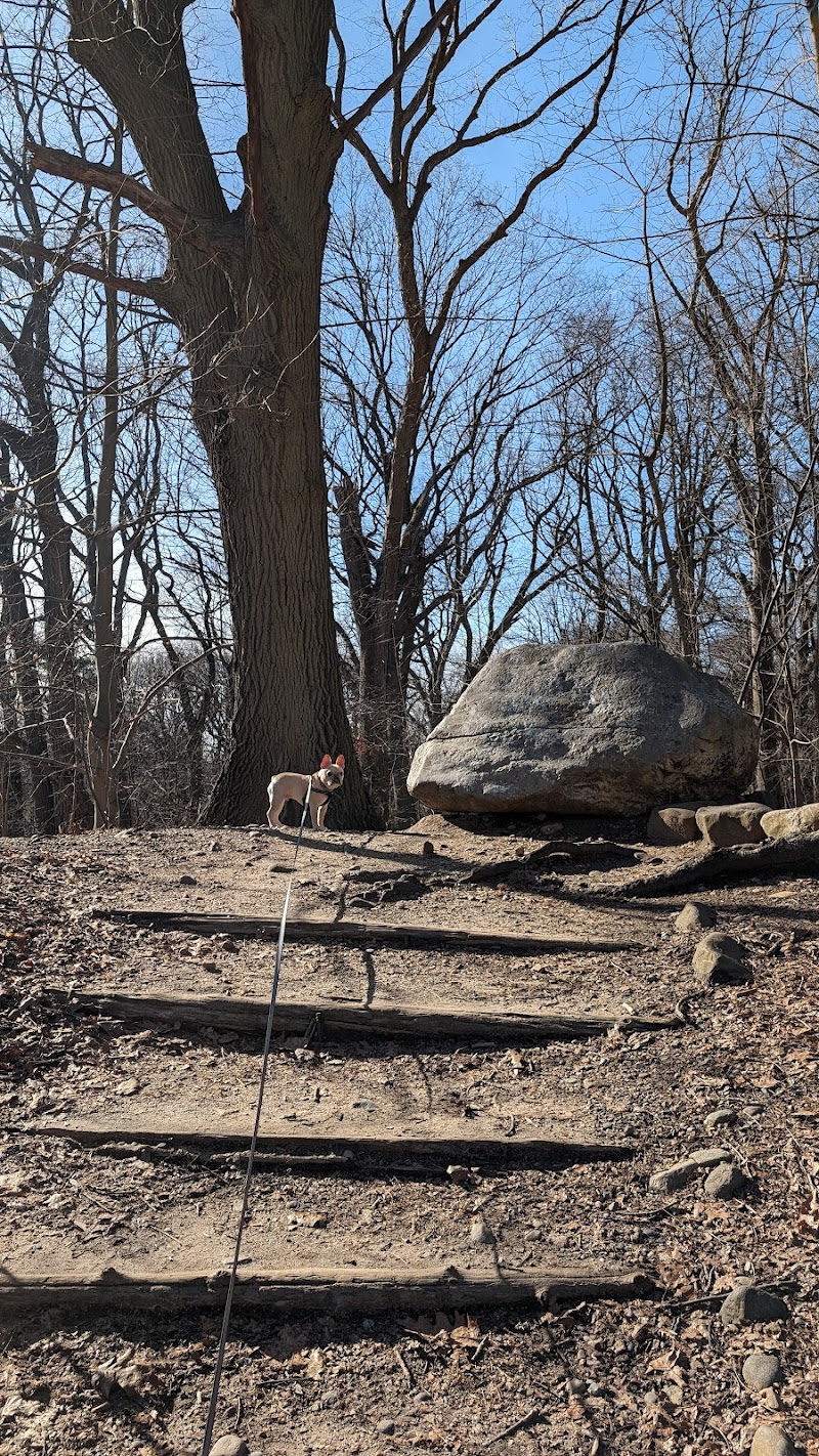 Forest Park forest trails - Queens, NY