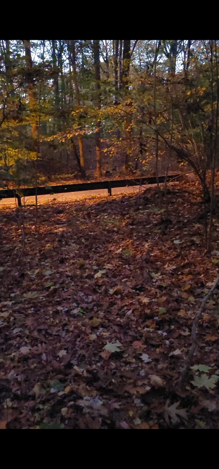 Cunningham Park Southeast Preserve Trail - Trailhead - Queens Village, NY