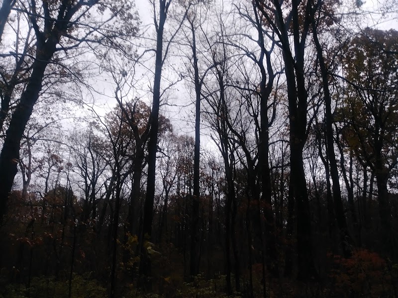 Cunningham Park Southeast Preserve Trail - Trailhead - Queens Village, NY