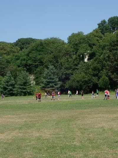 Alley Athletic Playground - Queens Village, NY