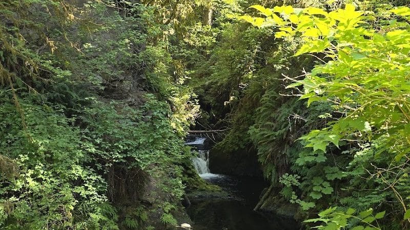 Quinault Loop Trailhead - Quinault, WA