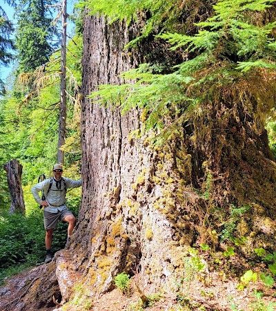 Quinault Loop Trailhead - Quinault, WA
