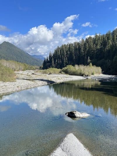 Quinault Loop Trailhead - Quinault, WA