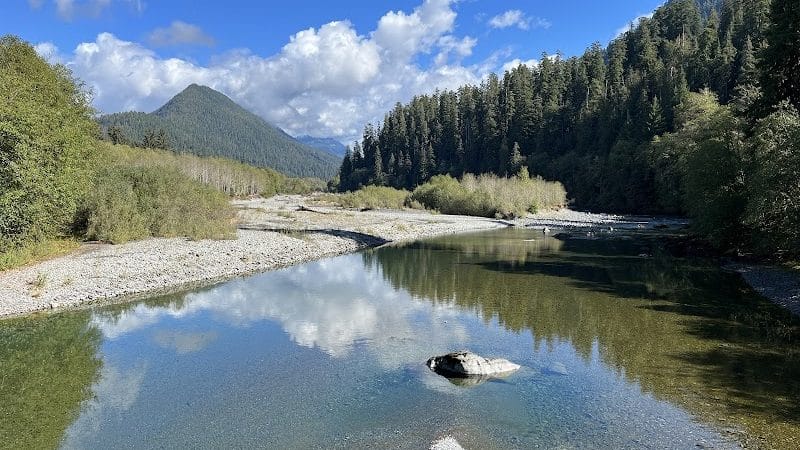 Quinault Loop Trailhead - Quinault, WA