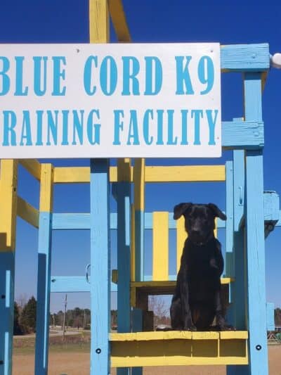 Blue Cord K9 - Raeford, NC