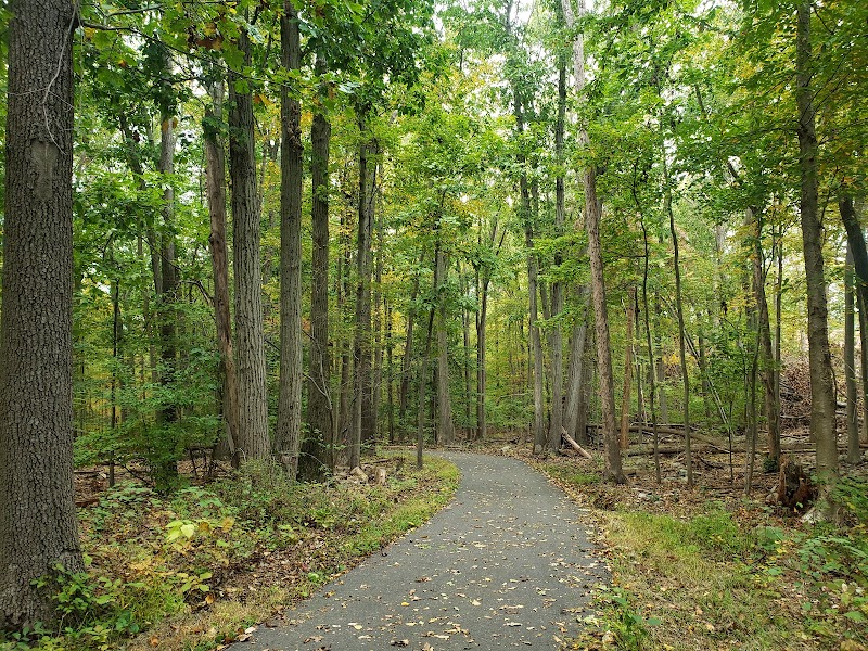 Freedom Park - Randolph, NJ