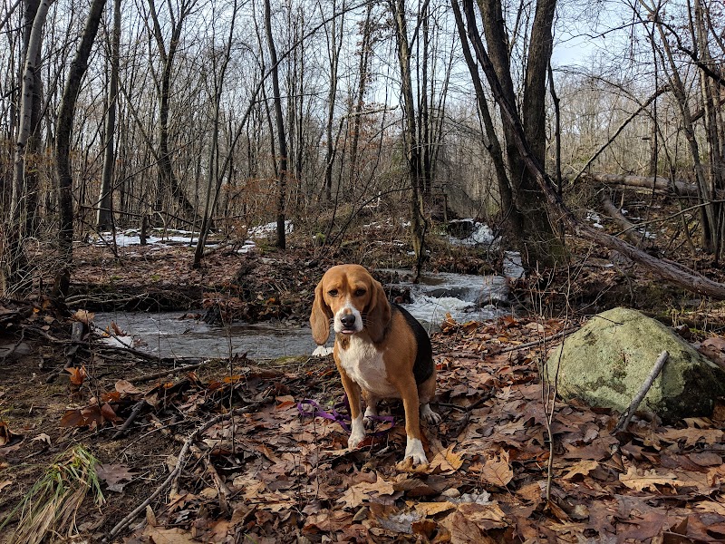 Hidden Valley Park - Randolph, NJ