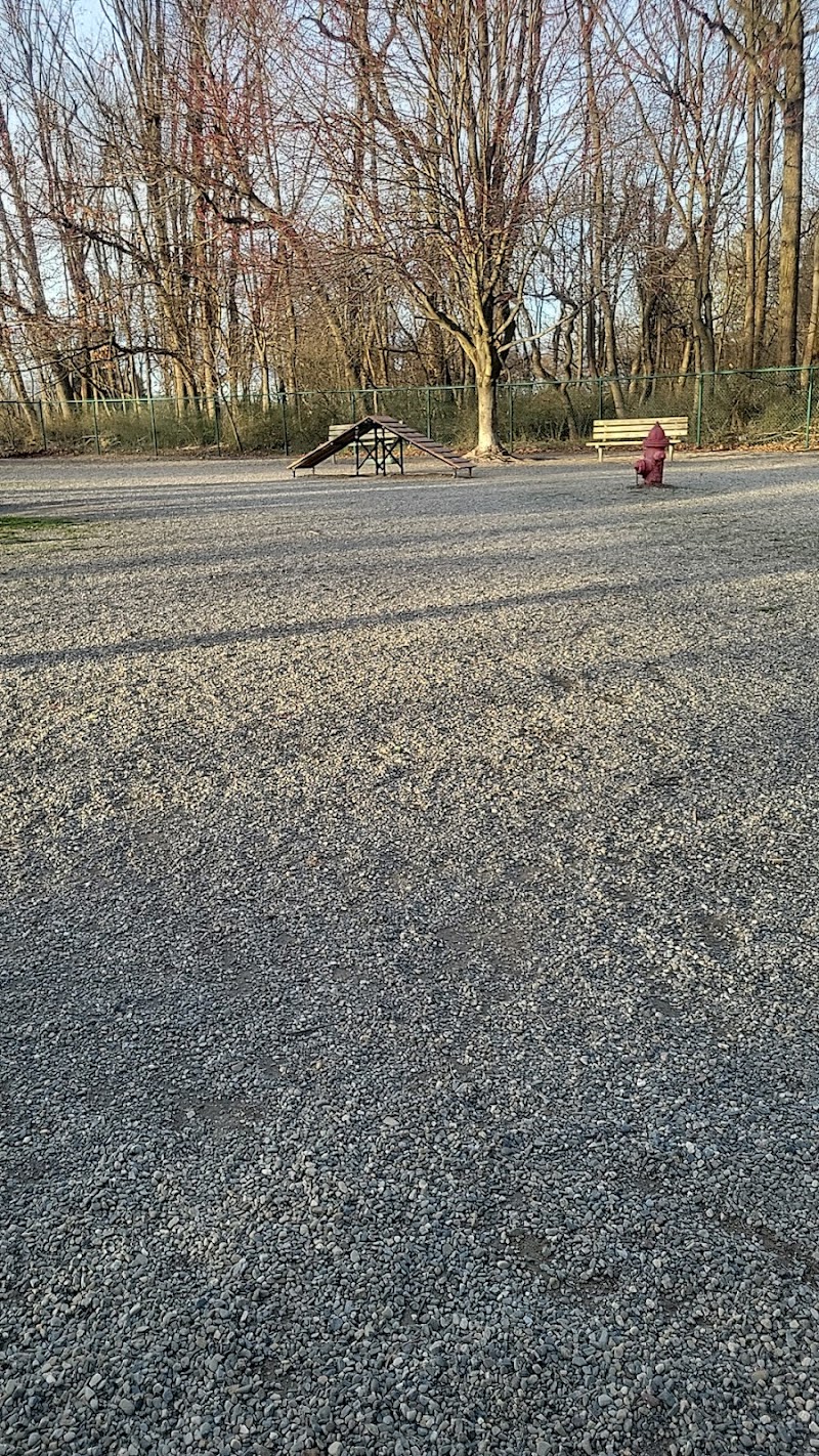 Randolph dog park - Randolph, NJ