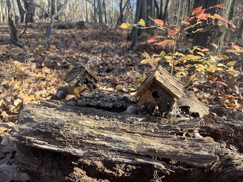 Randolph Fairy Trail - Randolph, NJ
