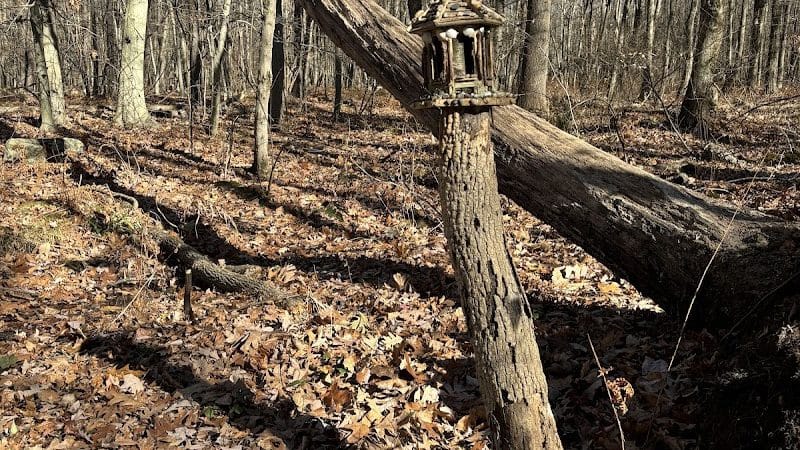 Randolph Fairy Trail - Randolph, NJ