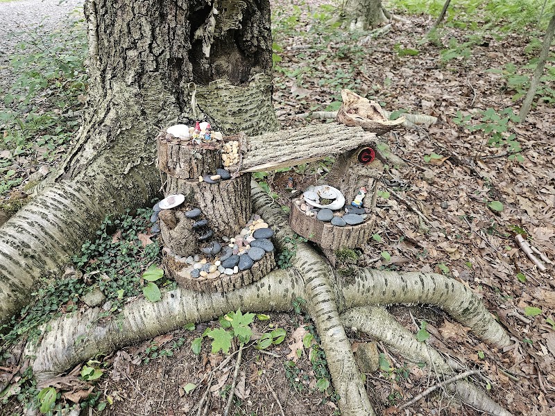 Randolph Fairy Trail - Randolph, NJ