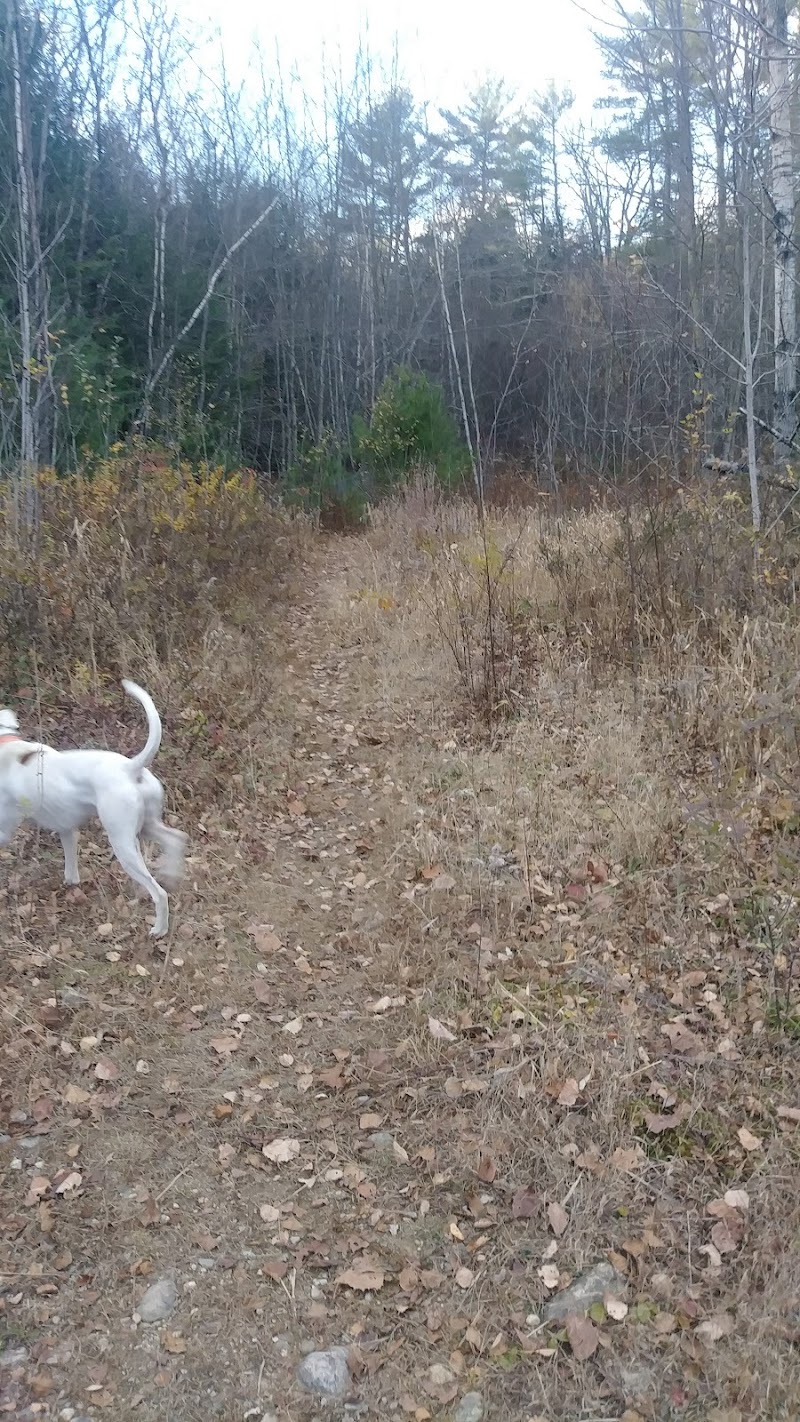 Riverside Bark Dog Park - Raymond, NH