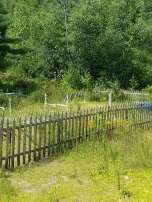Riverside Bark Dog Park