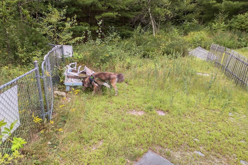 Riverside Bark Dog Park - Raymond, NH