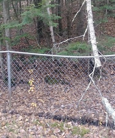 Riverside Bark Dog Park