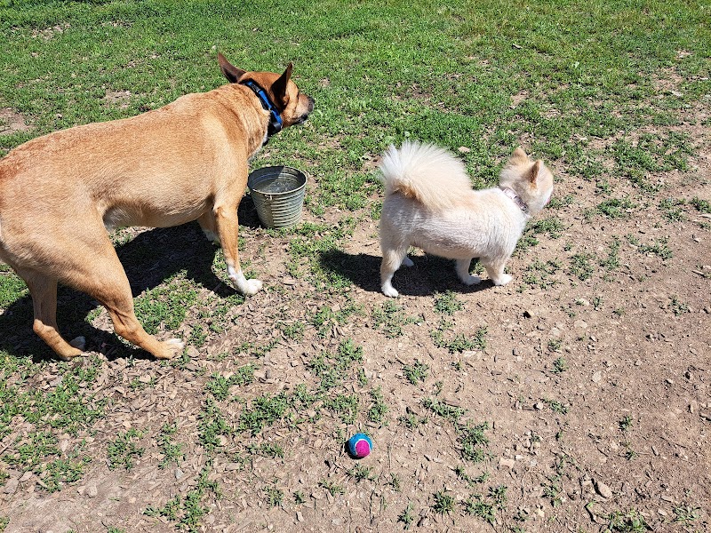 Red Bank Dog Park - Red Bank, TN