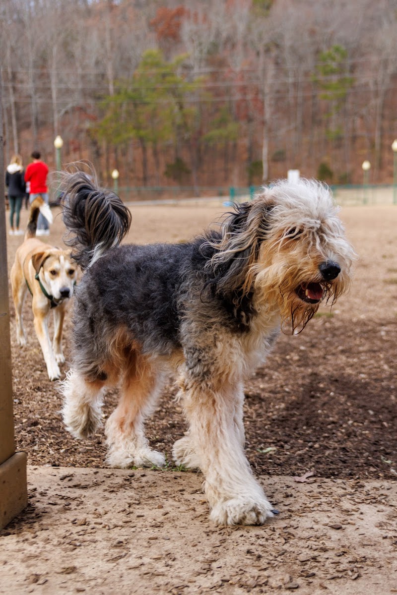 Red Bank Dog Park - Red Bank, TN