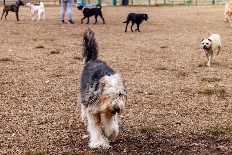 Red Bank Dog Park - Red Bank, TN