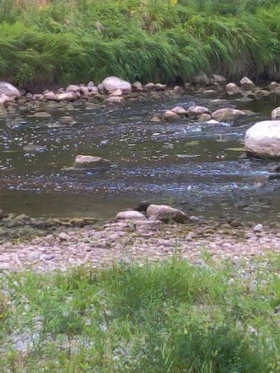 Riverside Park - Red Lake Falls, MN