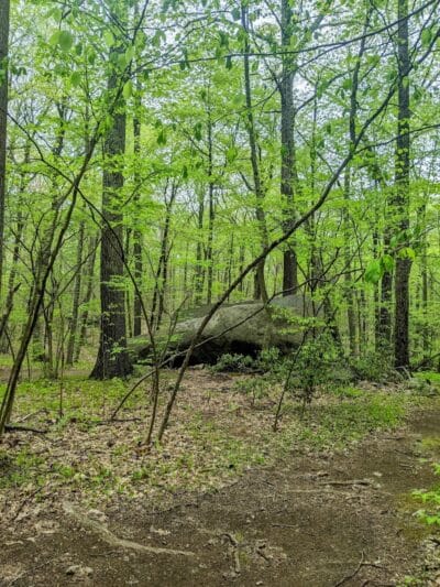 Collis P. Huntington State Park - Redding, CT