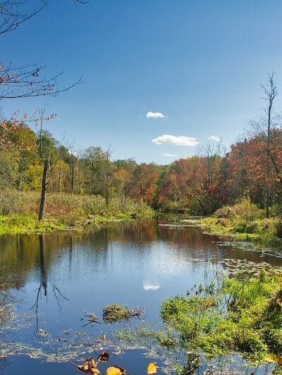 Saugatuck Falls Natural Area - Redding, CT