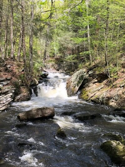 Saugatuck Falls Natural Area - Redding, CT
