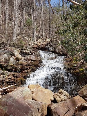 Chestnut Mountain Bluff