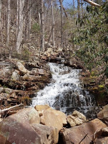 Chestnut Mountain Bluff