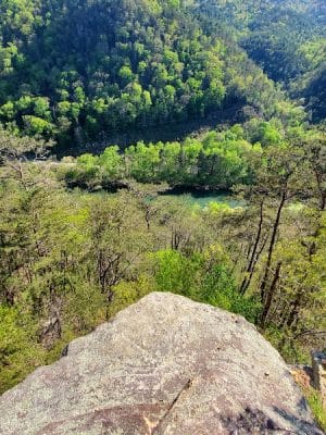 Chestnut Mountain Bluff