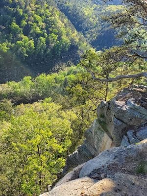 Chestnut Mountain Bluff