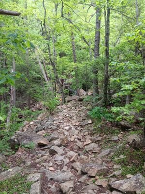 Chestnut Mountain Bluff